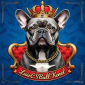 Luizcsbullkennel
